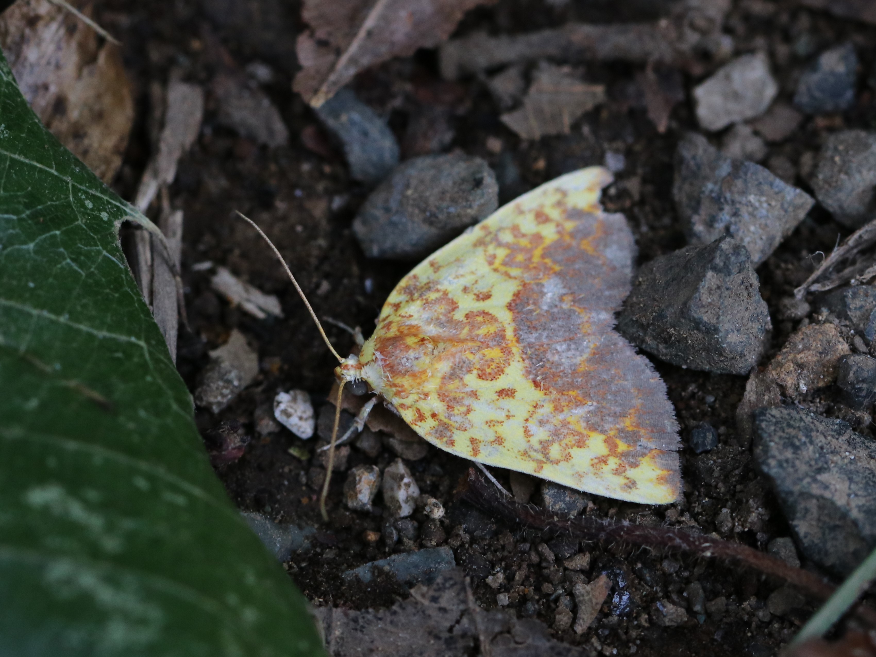 photo_1